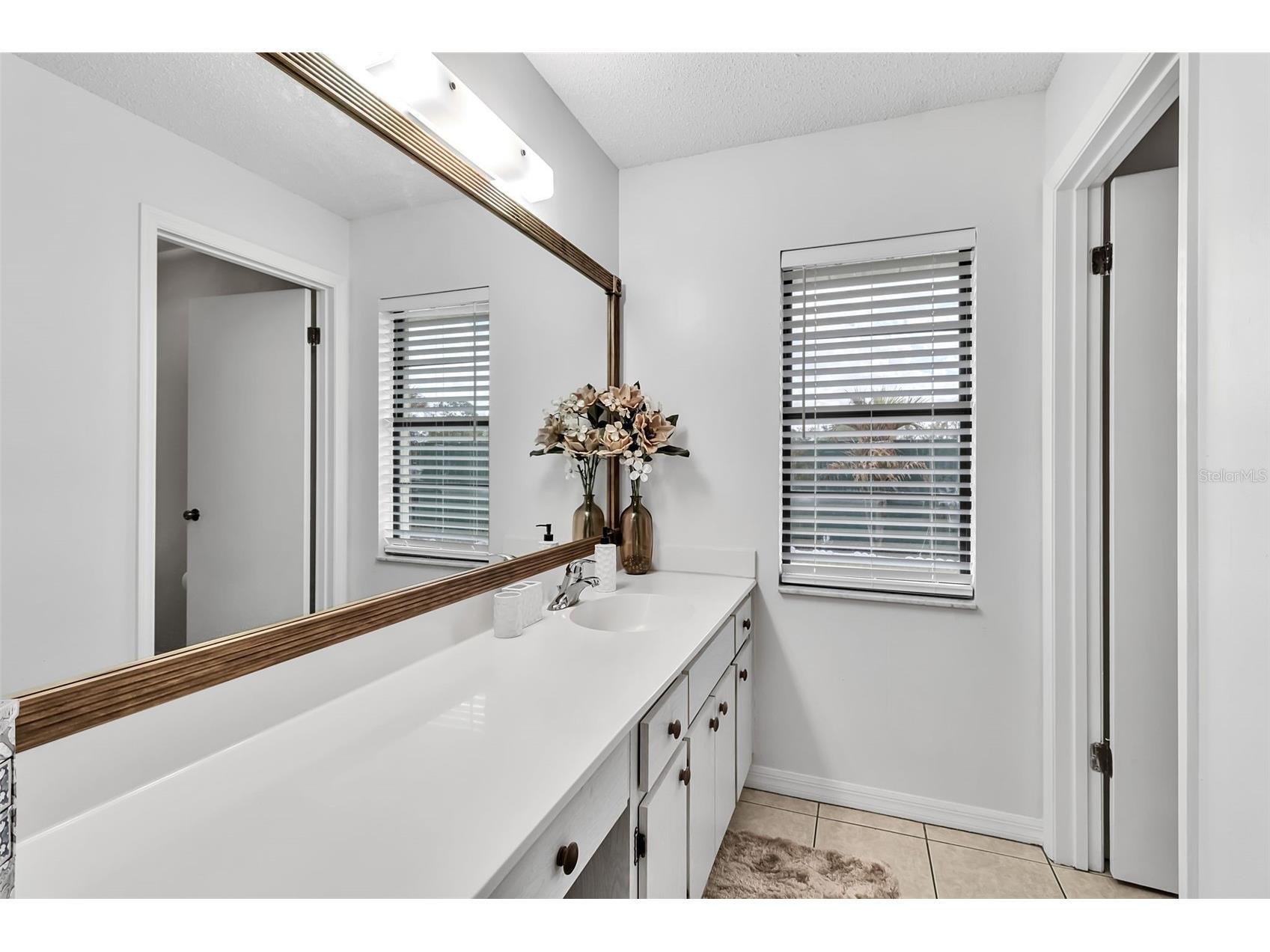 1602 Dower Way Sun City Center FL 33573 A4685331 image35