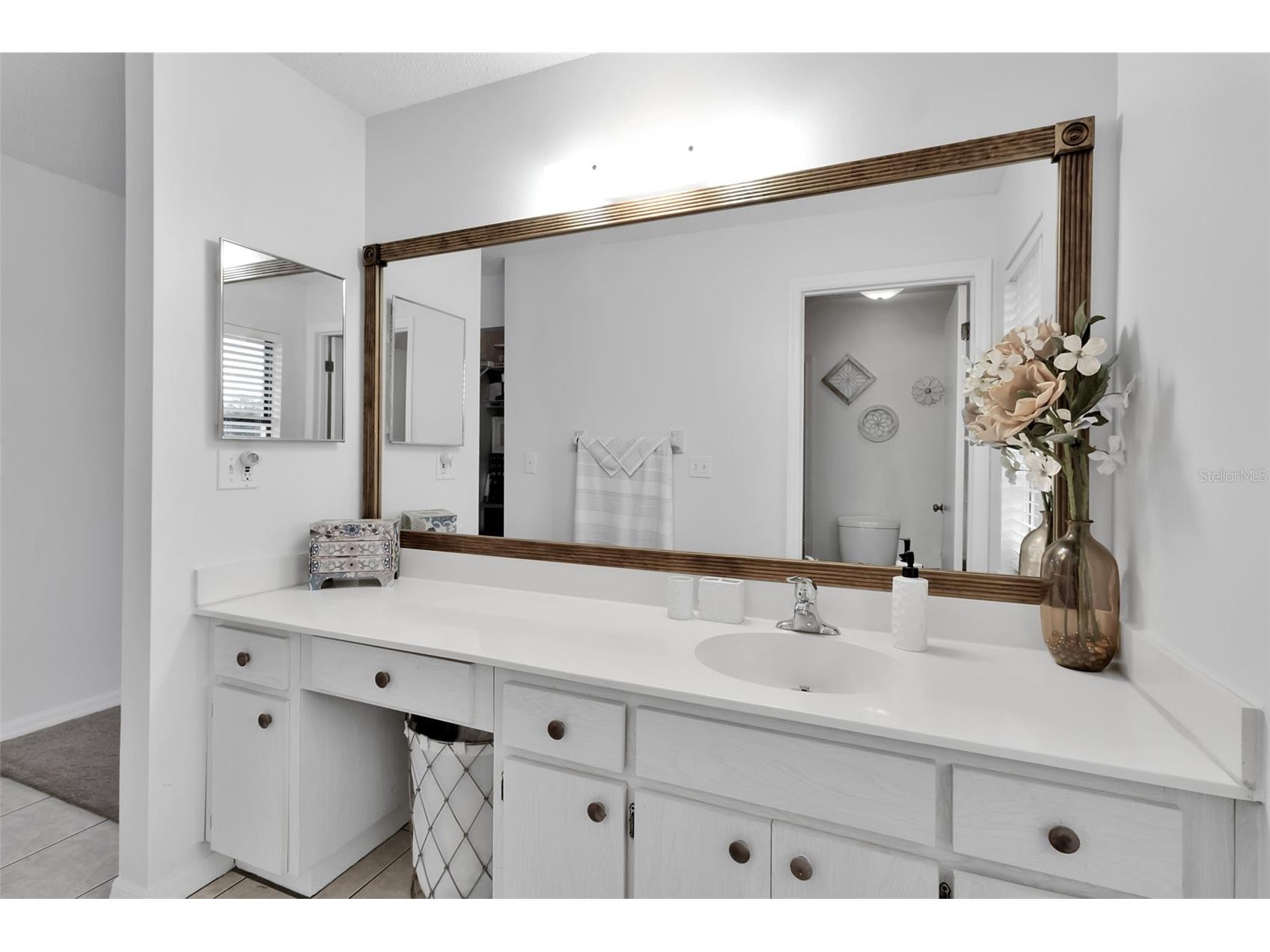 1602 Dower Way Sun City Center FL 33573 A4685331 image36
