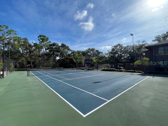 1602 Lennox Road E #1602 Palm Harbor FL 34683 TB8409889 image20