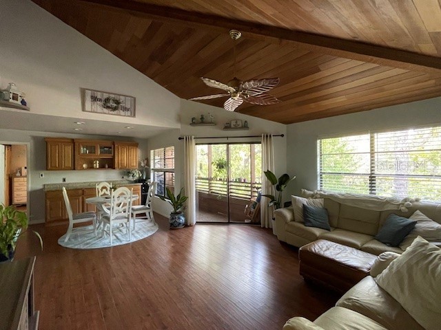 1602 Lennox Road E #1602 Palm Harbor FL 34683 TB8409889 image5