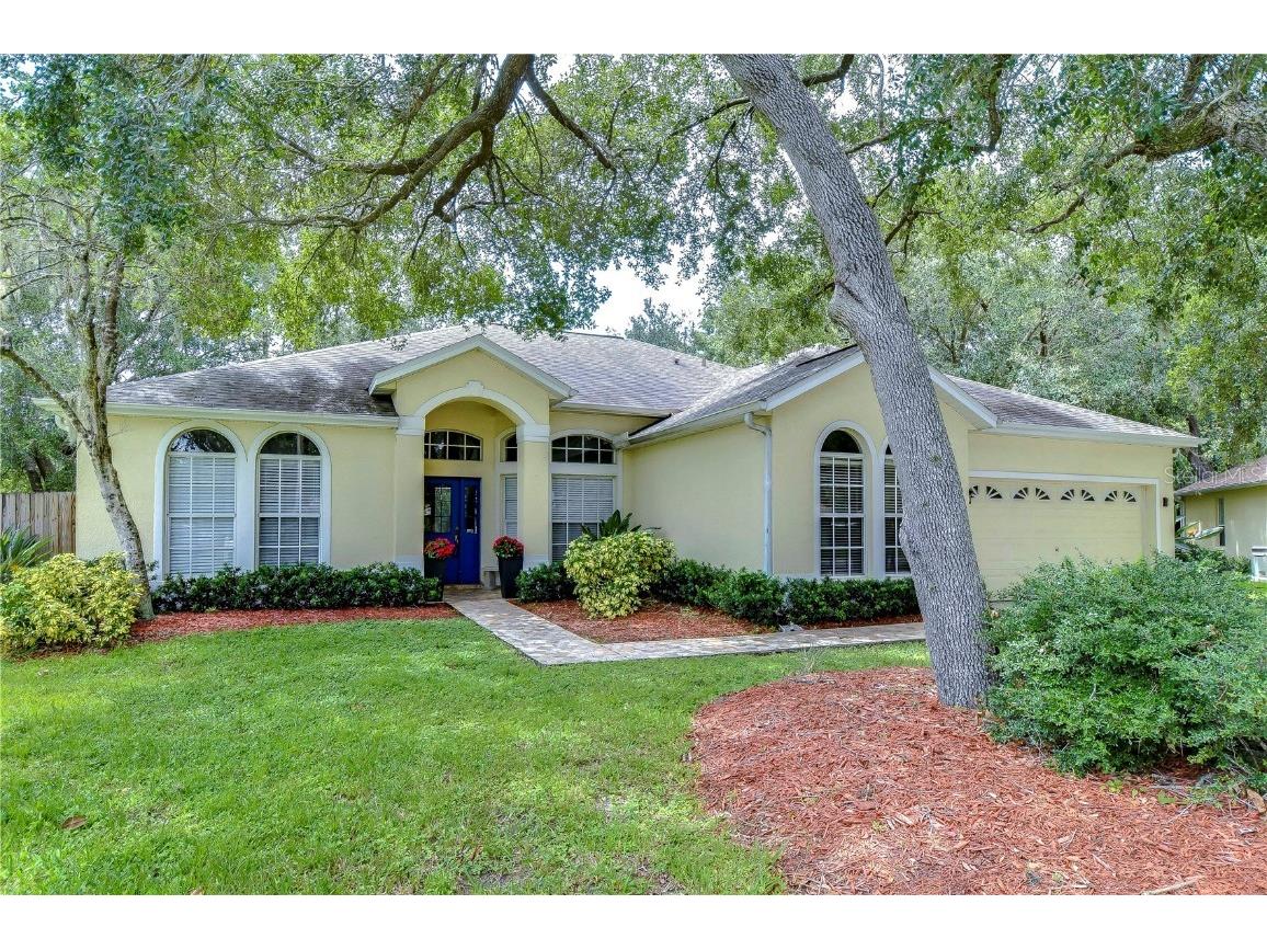 1602 Loriana Street Brandon FL 33511 T3551147 image1