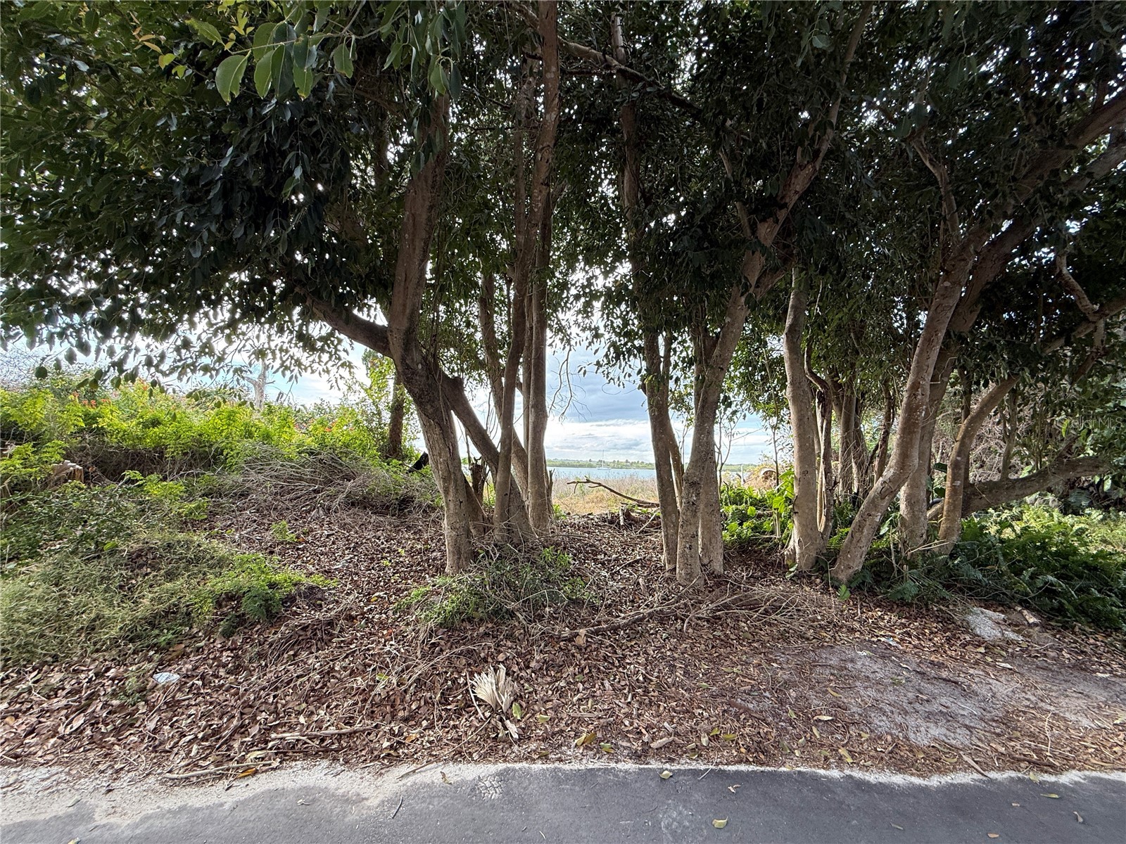1602 N Indian River Road New Smyrna Beach FL 32169 - INTRACOASTAL WATERWAY NS1087135 image10