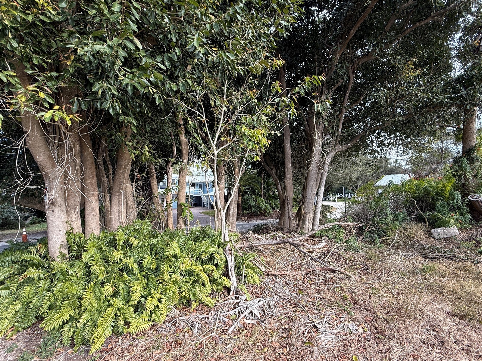 1602 N Indian River Road New Smyrna Beach FL 32169 - INTRACOASTAL WATERWAY NS1087135 image11