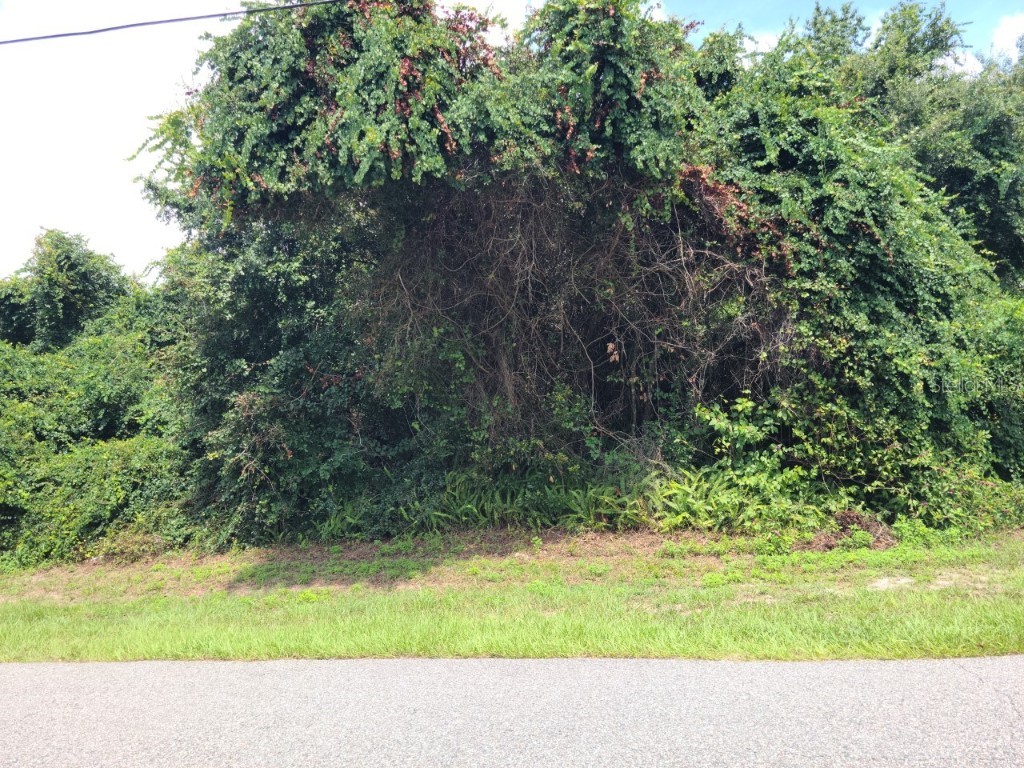 1602 Newbury Avenue Deltona FL 32738 V4926364 image1