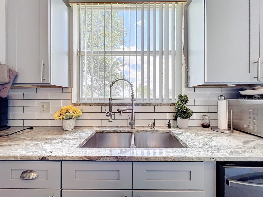 1602 Presidio Drive Clermont FL 34711 O6322924 image4