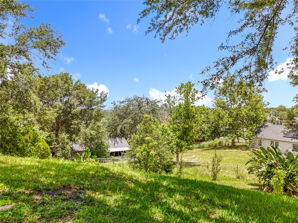 1602 Presidio Drive Clermont FL 34711 O6322924 image54