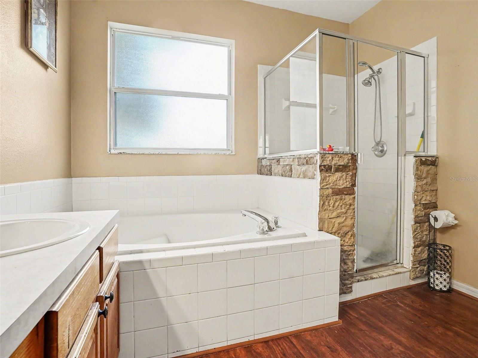 1602 Presidio Drive Clermont FL 34711 TB8529631 image18