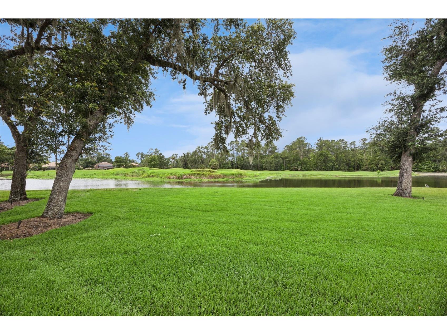 1602 Redwood Grove Terrace Lake Mary FL 32746 O6412013 image41