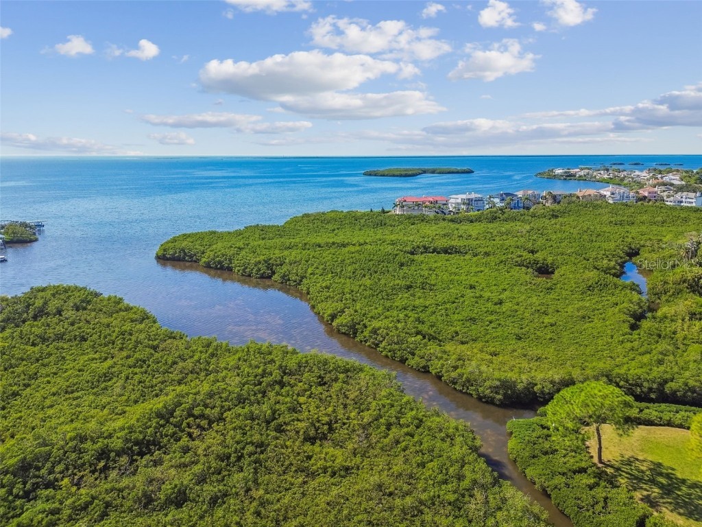 1602 Sea Breeze Drive Tarpon Springs FL 34689 TB8443315 image34