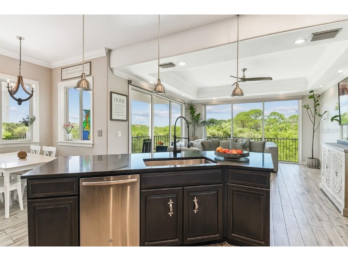 1602 Sea Breeze Drive Tarpon Springs FL 34689 TB8443315 image9