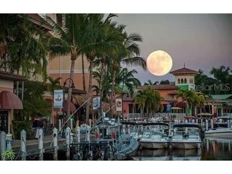 1602 SW 23rd Street Cape Coral FL 33991 C7526128 image22