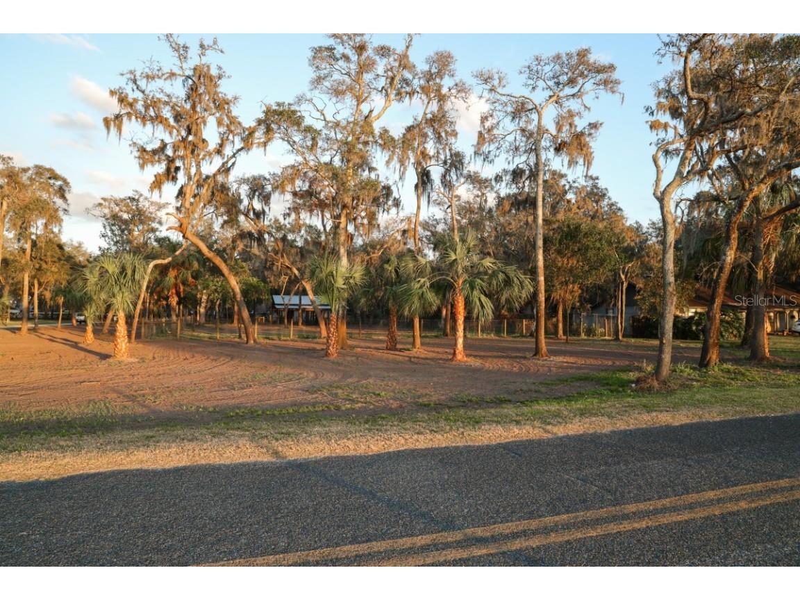 1602 Swilley Road Plant City FL 33567 A4565021 image1