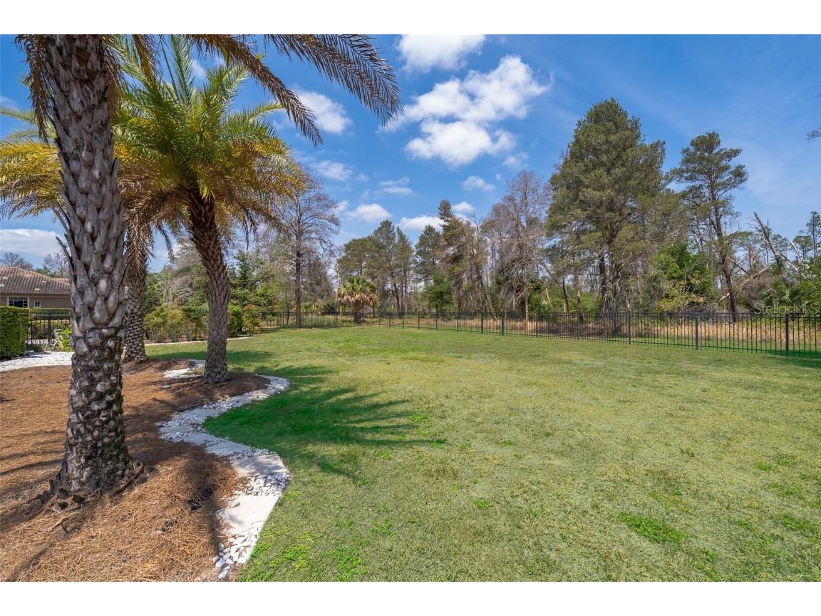 16020 Pendio Drive Montverde FL 34756 O6302747 image51