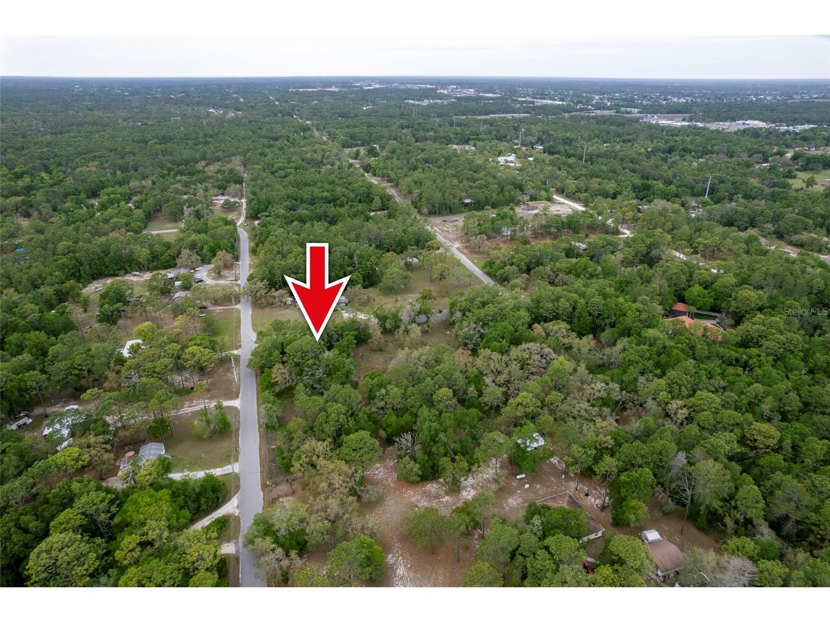 16021 Forzando Avenue Brooksville FL 34604 TB8495110 image10
