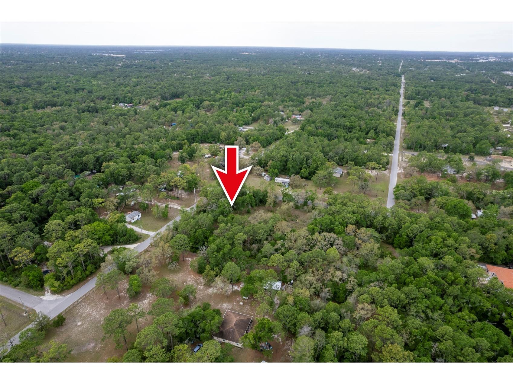 16021 Forzando Avenue Brooksville FL 34604 TB8495110 image11