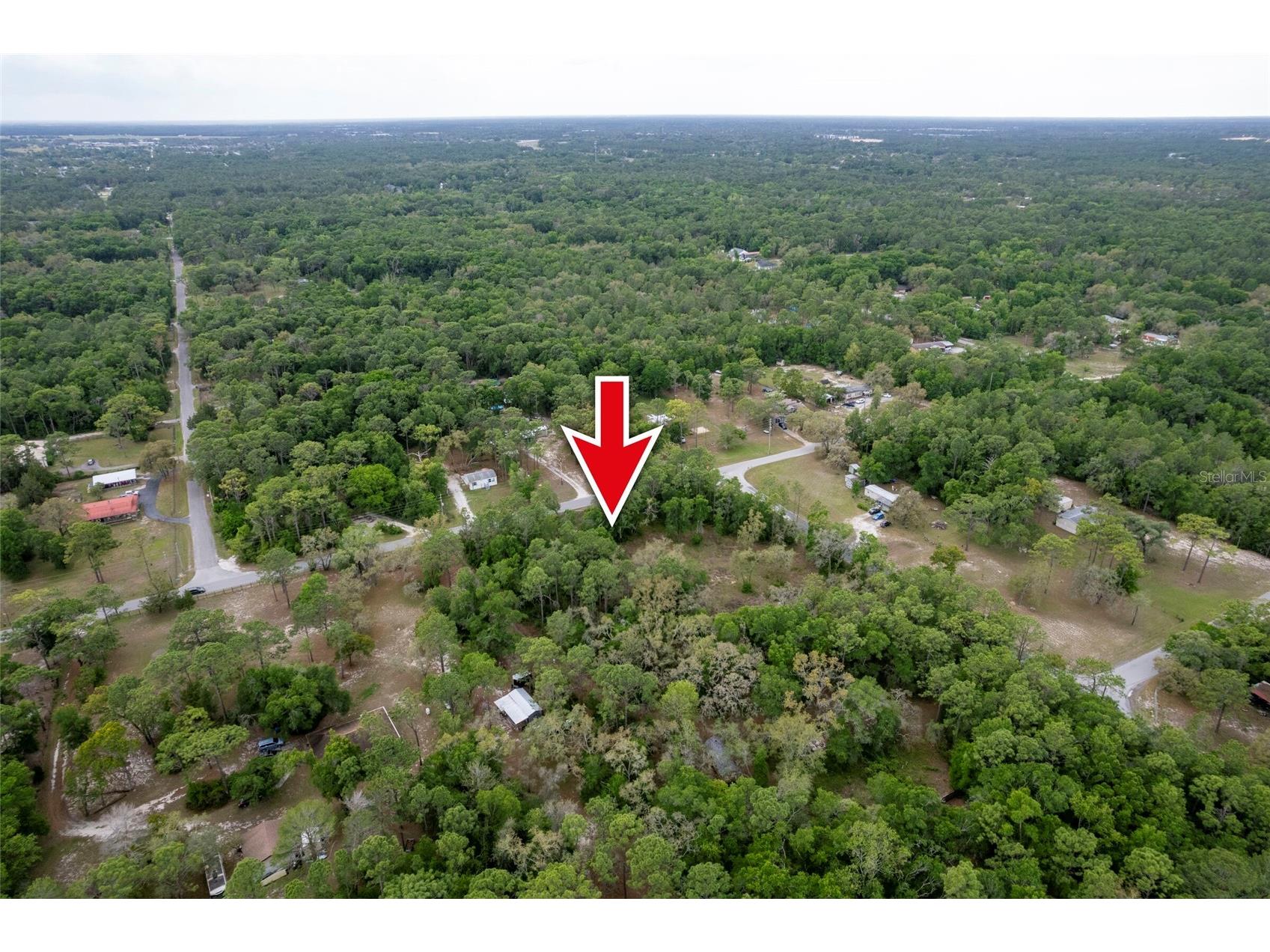 16021 Forzando Avenue Brooksville FL 34604 TB8495110 image12