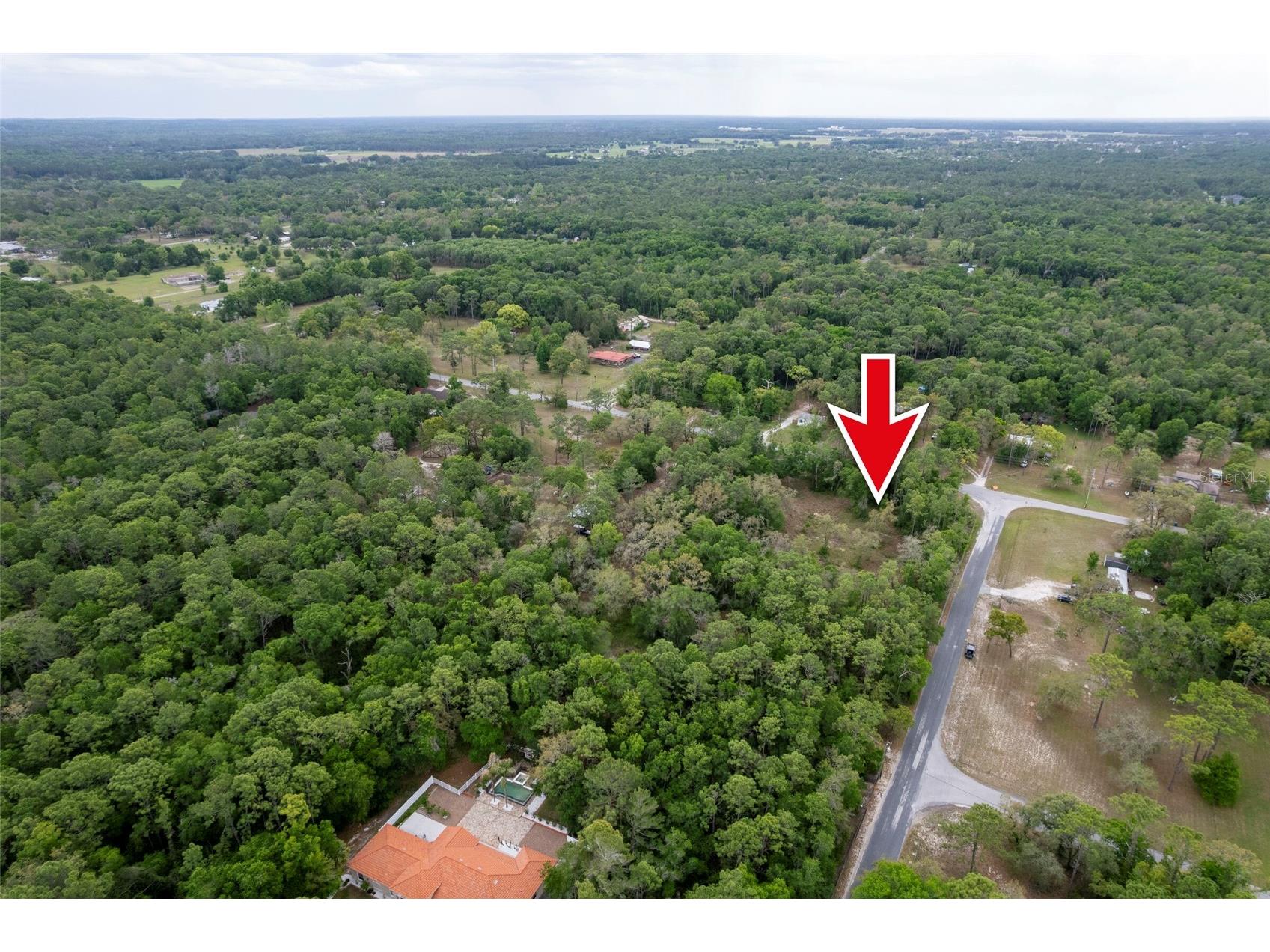 16021 Forzando Avenue Brooksville FL 34604 TB8495110 image13