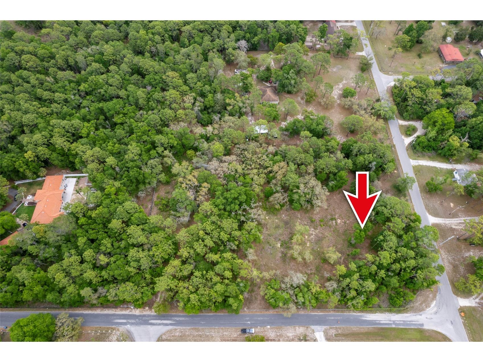 16021 Forzando Avenue Brooksville FL 34604 TB8495110 image3
