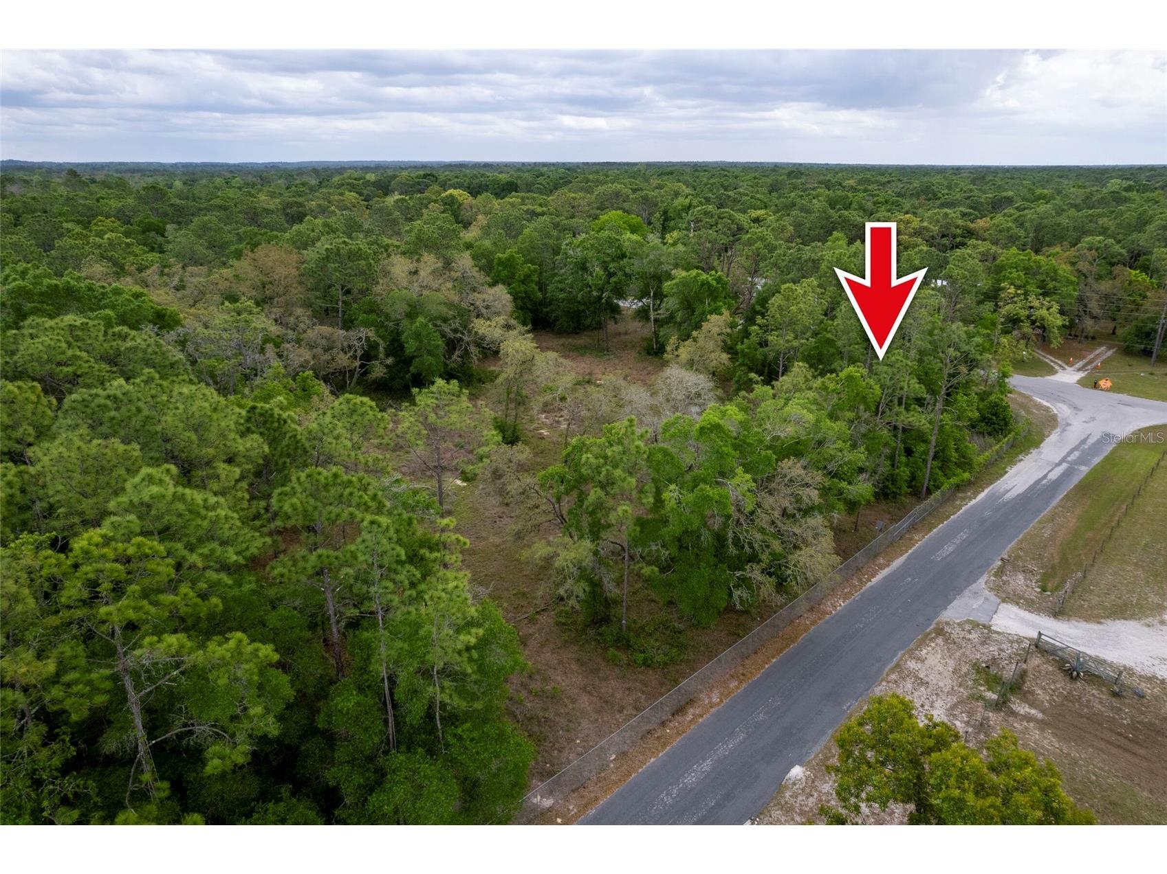 16021 Forzando Avenue Brooksville FL 34604 TB8495110 image4