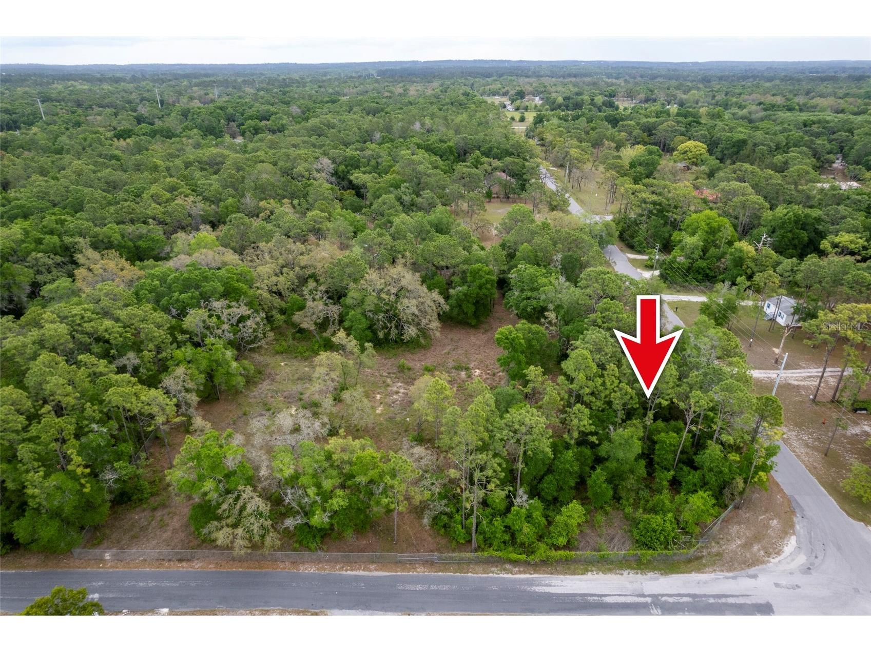 16021 Forzando Avenue Brooksville FL 34604 TB8495110 image5