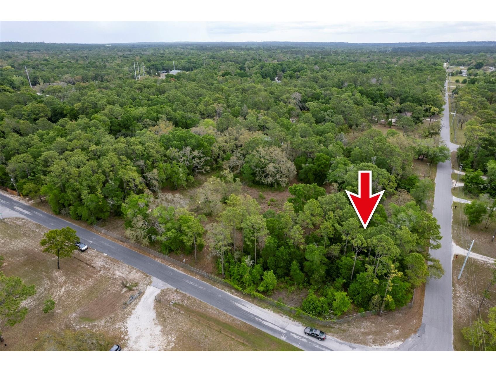 16021 Forzando Avenue Brooksville FL 34604 TB8495110 image6