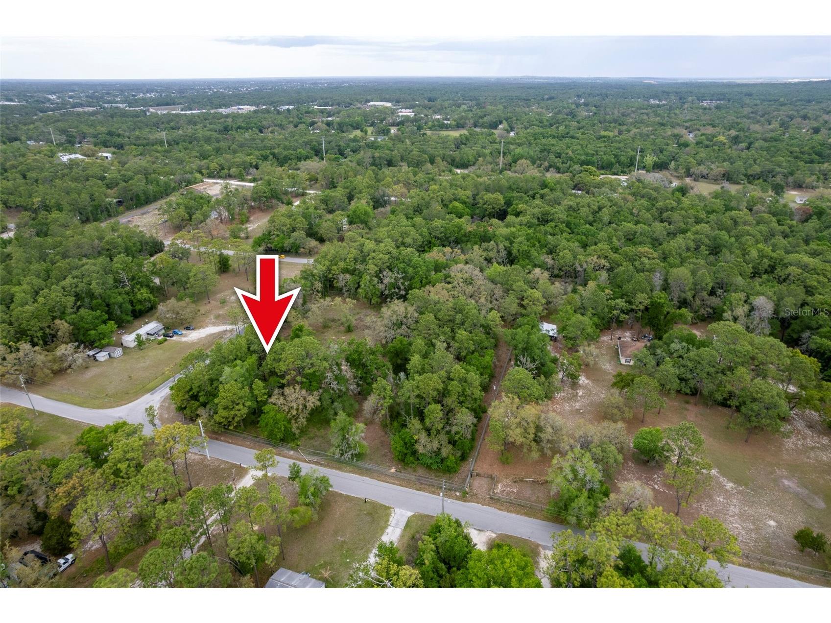 16021 Forzando Avenue Brooksville FL 34604 TB8495110 image8