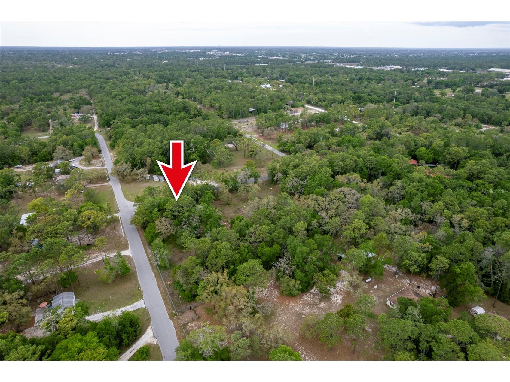 16021 Forzando Avenue Brooksville FL 34604 TB8495110 image9