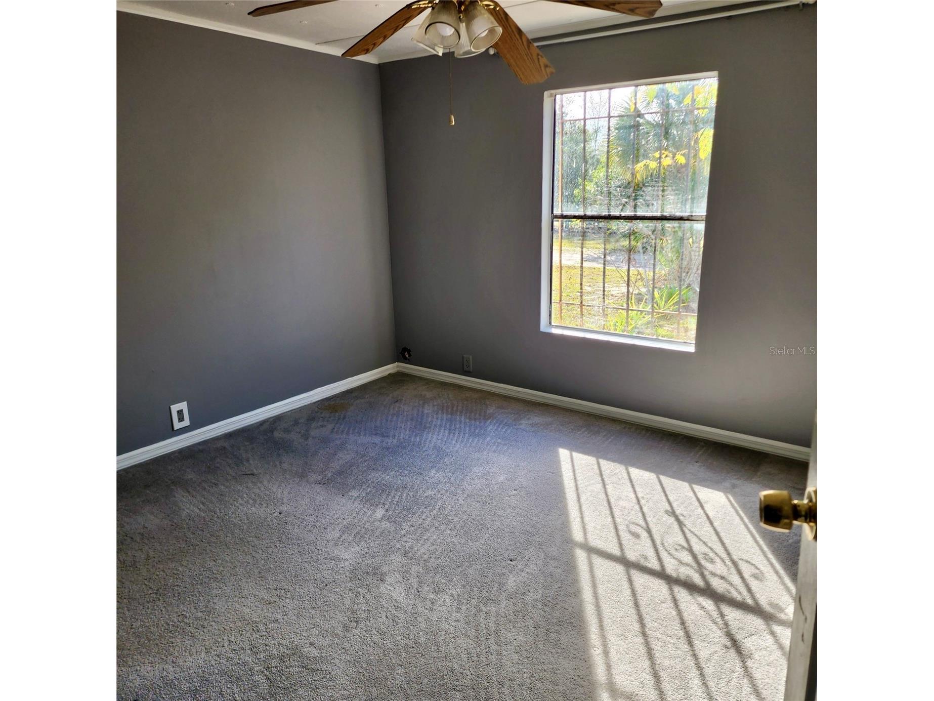 16021 SE 170th Avenue Weirsdale FL 32195 O6343269 image17