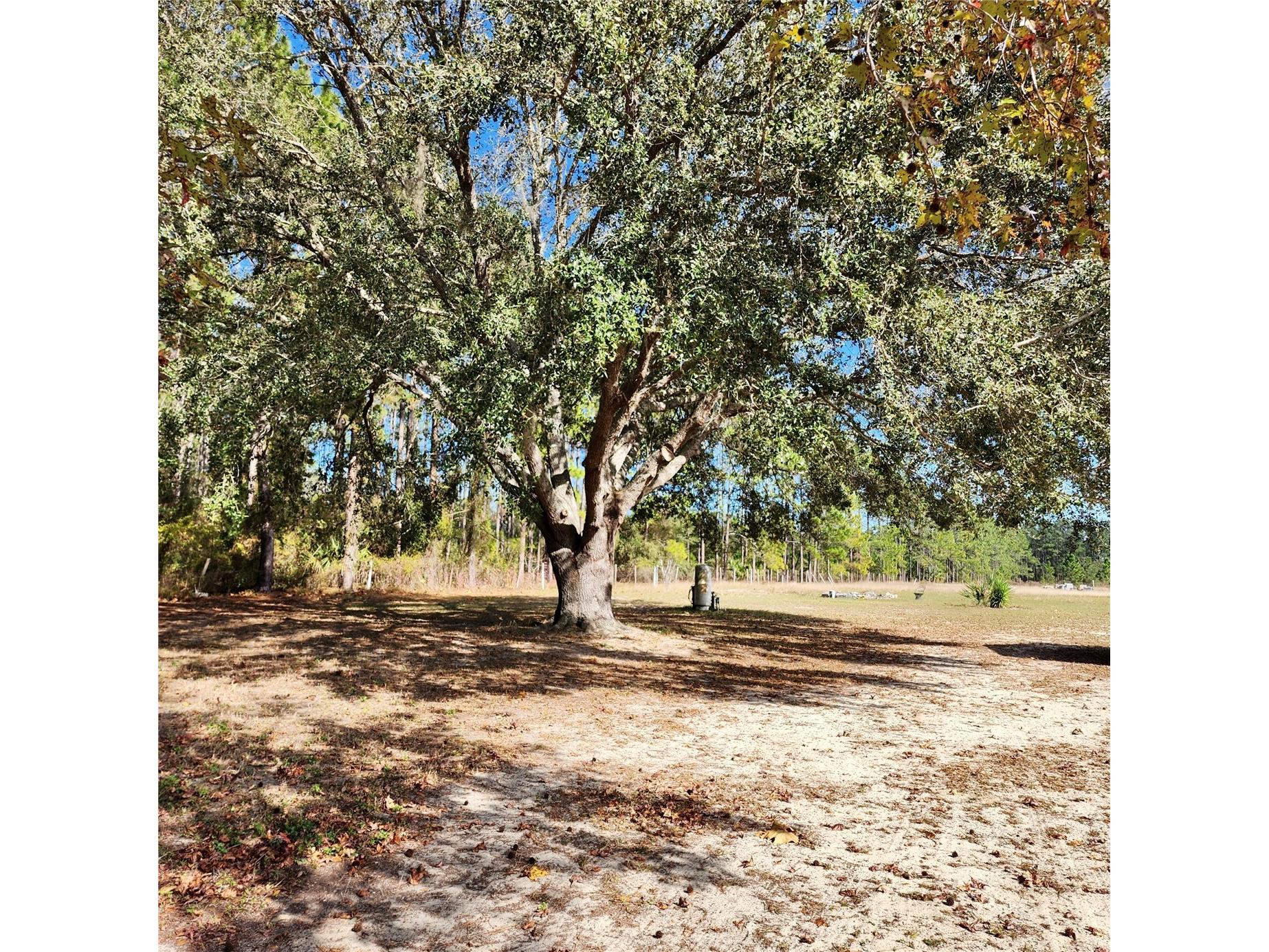 16021 SE 170th Avenue Weirsdale FL 32195 O6343269 image32