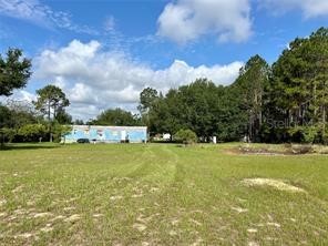 16021 SE 170th Avenue Weirsdale FL 32195 O6343269 image43