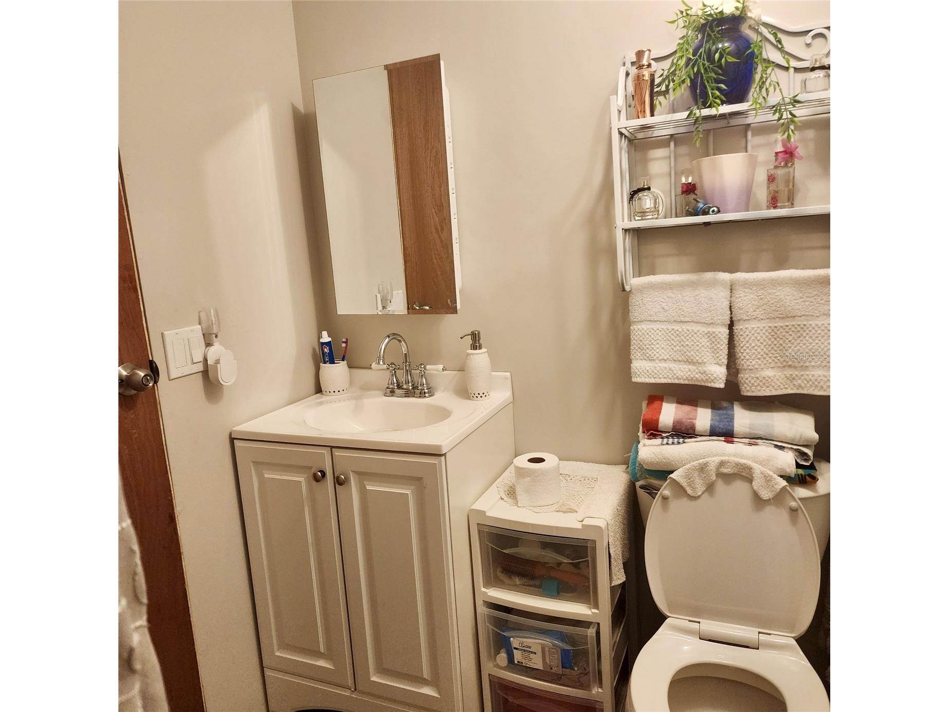 16021 SE 170th Avenue Weirsdale FL 32195 O6343269 image56