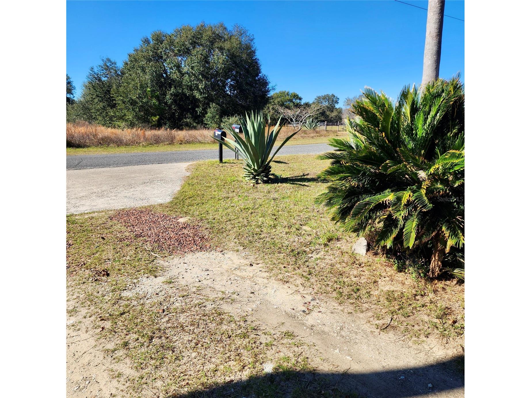 16021 SE 170th Avenue Weirsdale FL 32195 O6343269 image58