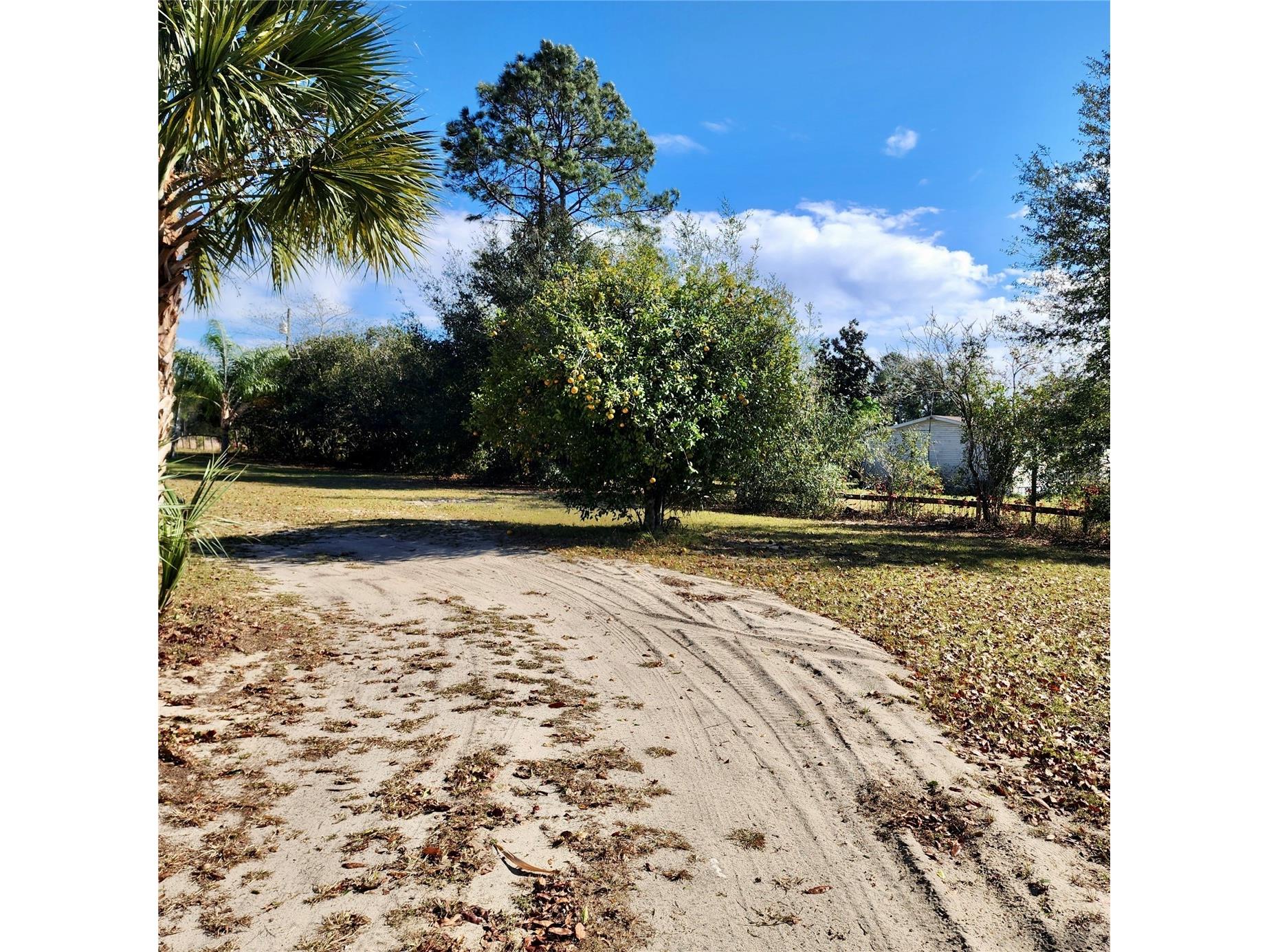 16021 SE 170th Avenue Weirsdale FL 32195 O6343269 image61