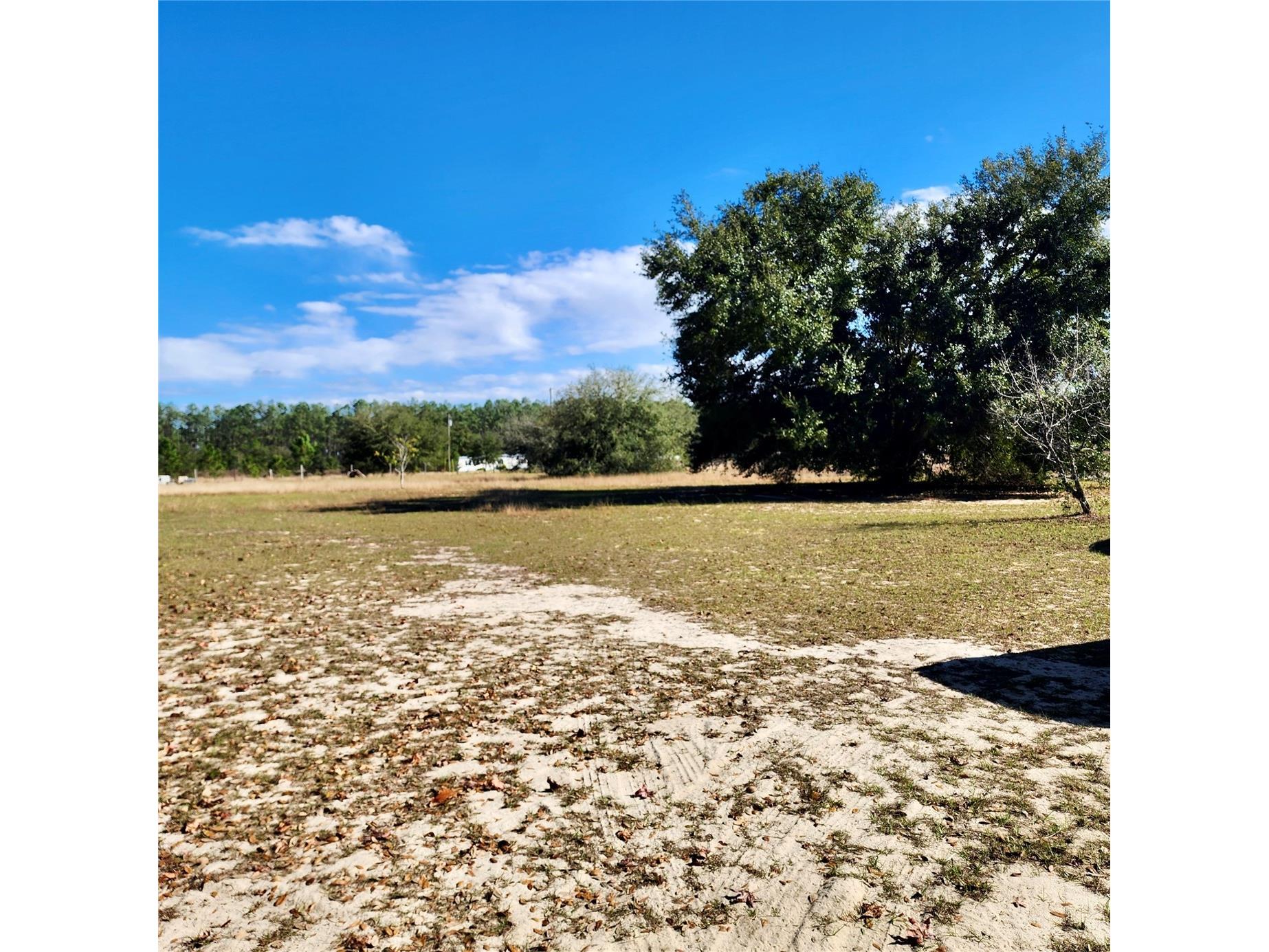 16021 SE 170th Avenue Weirsdale FL 32195 O6343269 image64