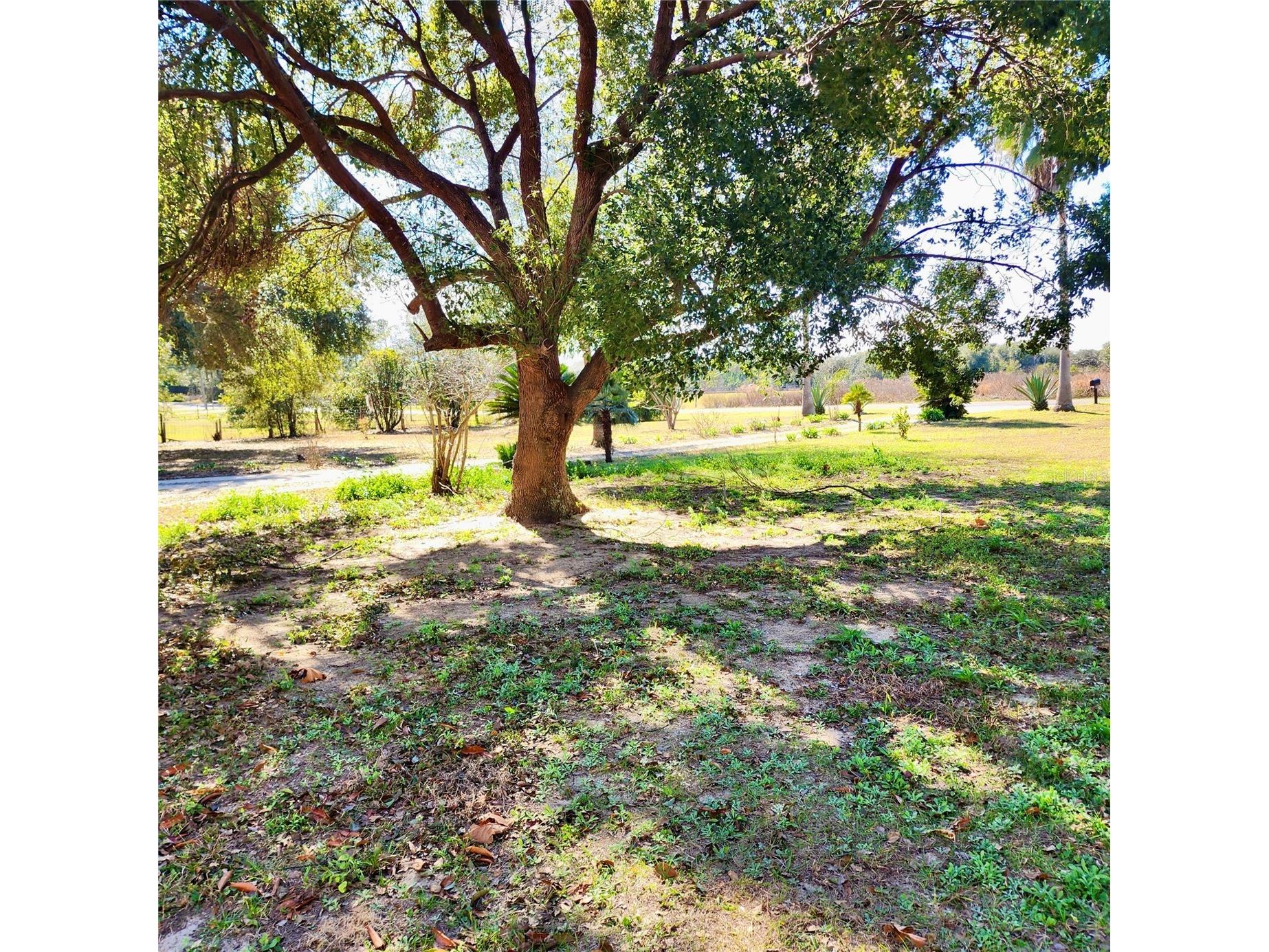 16021 SE 170th Avenue Weirsdale FL 32195 O6343269 image67