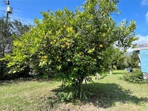 16021 SE 170th Avenue Weirsdale FL 32195 O6343269 image68