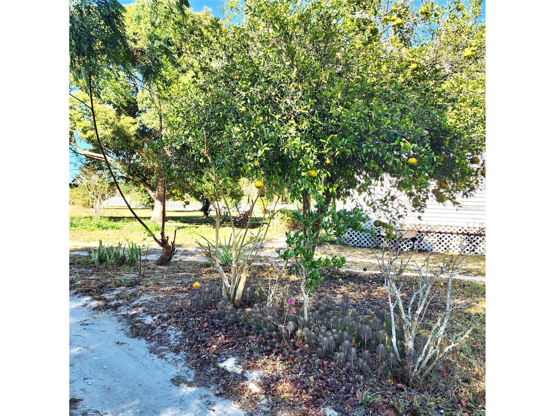 16021 SE 170th Avenue Weirsdale FL 32195 O6343269 image69