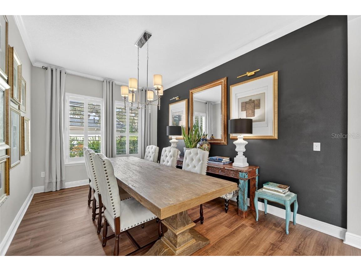 16022 Ternglade Drive Lithia FL 33547 TB8443528 image17