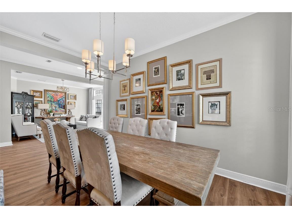 16022 Ternglade Drive Lithia FL 33547 TB8443528 image18