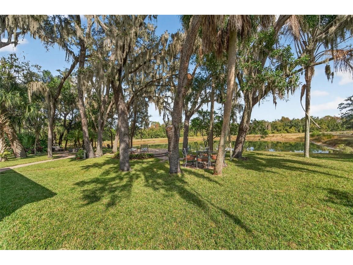 16022 Ternglade Drive Lithia FL 33547 TB8443528 image5