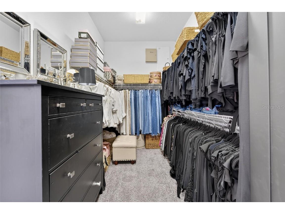 16022 Ternglade Drive Lithia FL 33547 TB8443528 image52