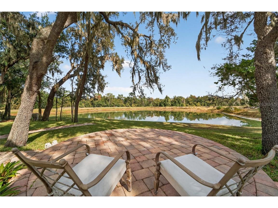 16022 Ternglade Drive Lithia FL 33547 TB8443528 image6