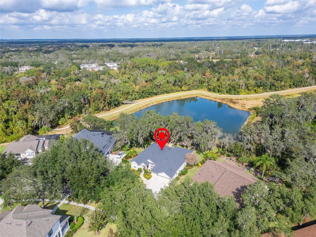 16022 Ternglade Drive Lithia FL 33547 TB8443528 image84