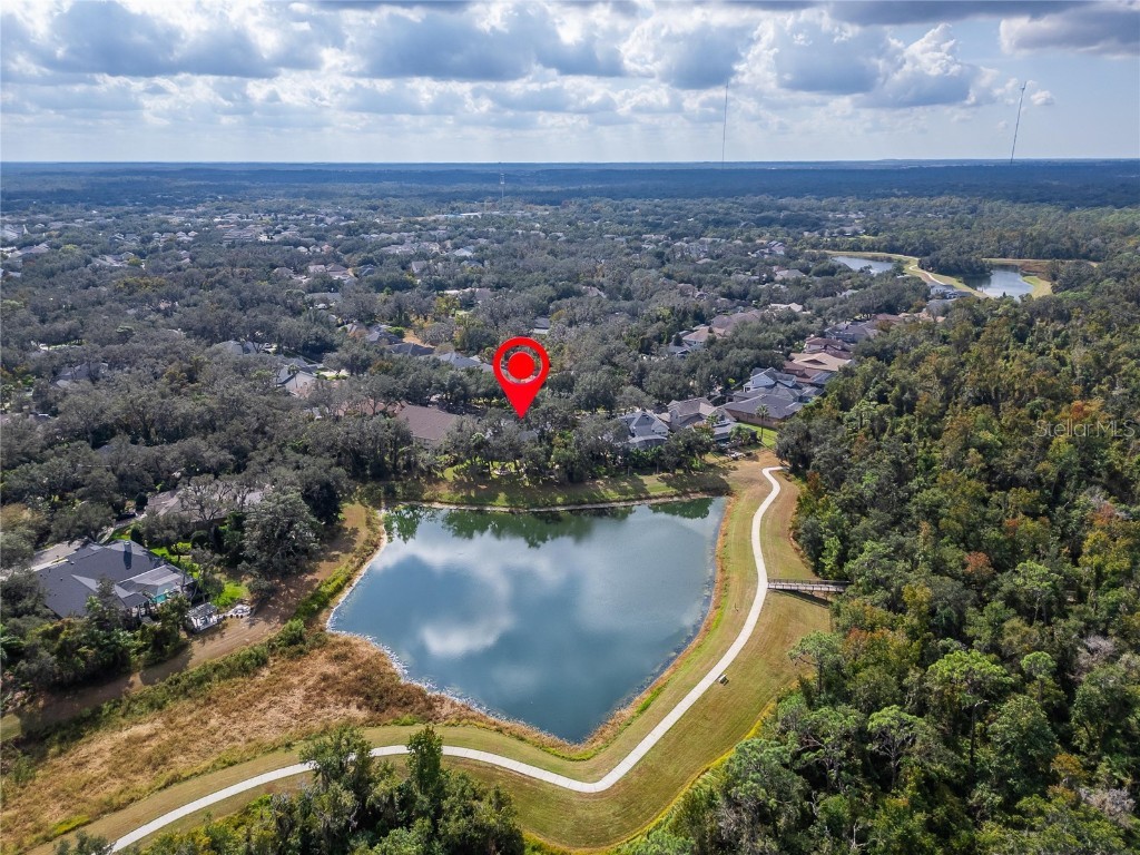 16022 Ternglade Drive Lithia FL 33547 TB8443528 image85