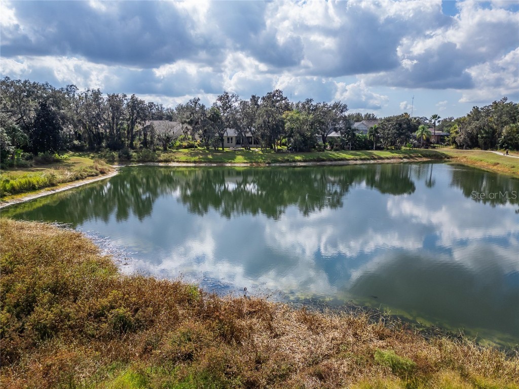 16022 Ternglade Drive Lithia FL 33547 TB8443528 image86