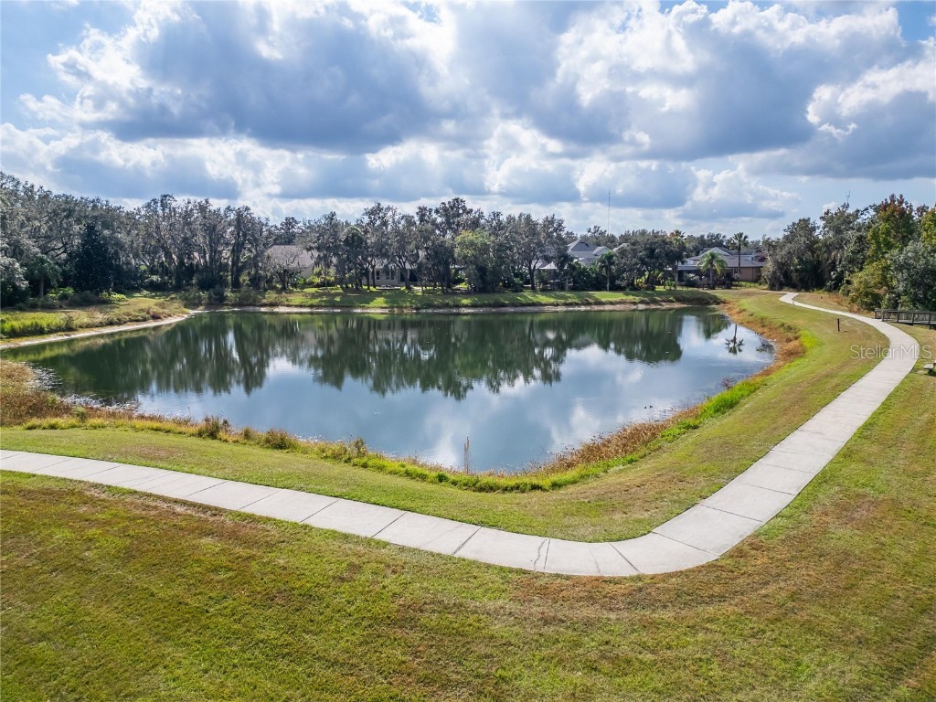 16022 Ternglade Drive Lithia FL 33547 TB8443528 image87
