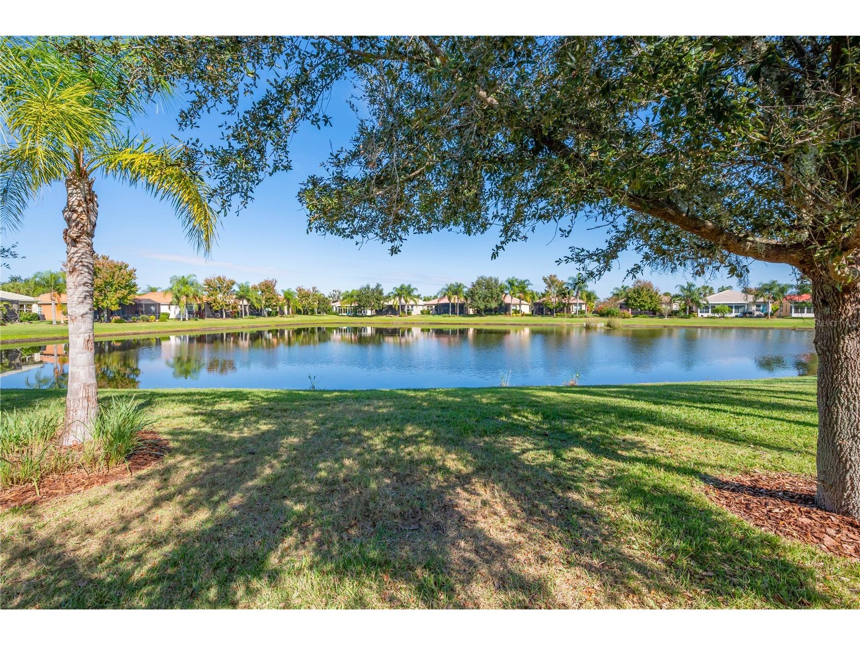 16023 Golden Lakes Drive Wimauma FL 33598 TB8456271 image24