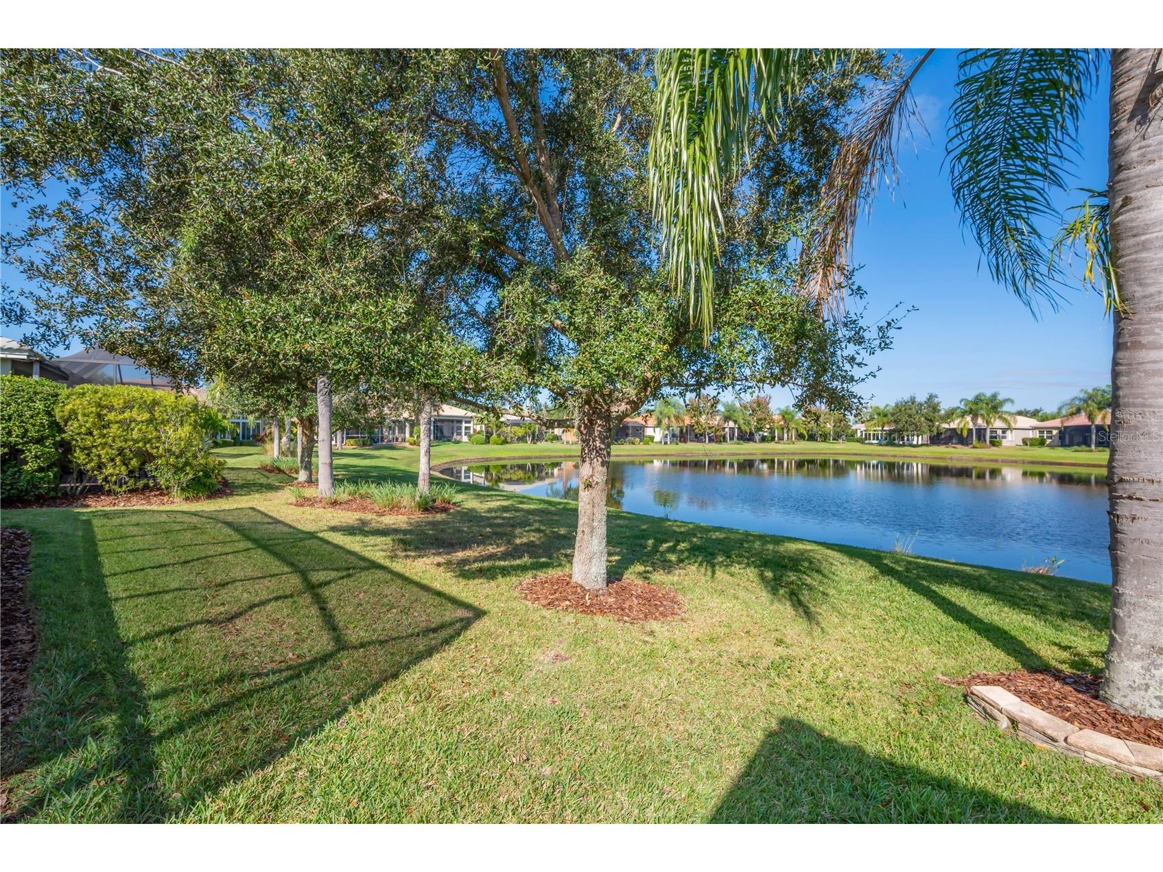 16023 Golden Lakes Drive Wimauma FL 33598 TB8456271 image26