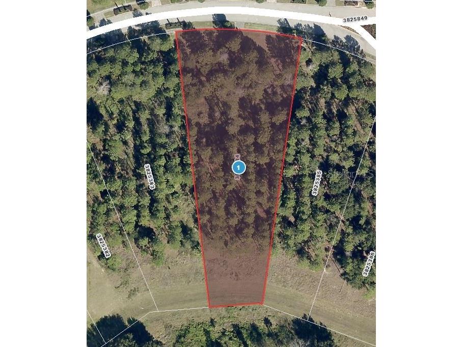 16023 Pendio Drive Montverde FL 34756 - LAKE APOPKA J963630 image1