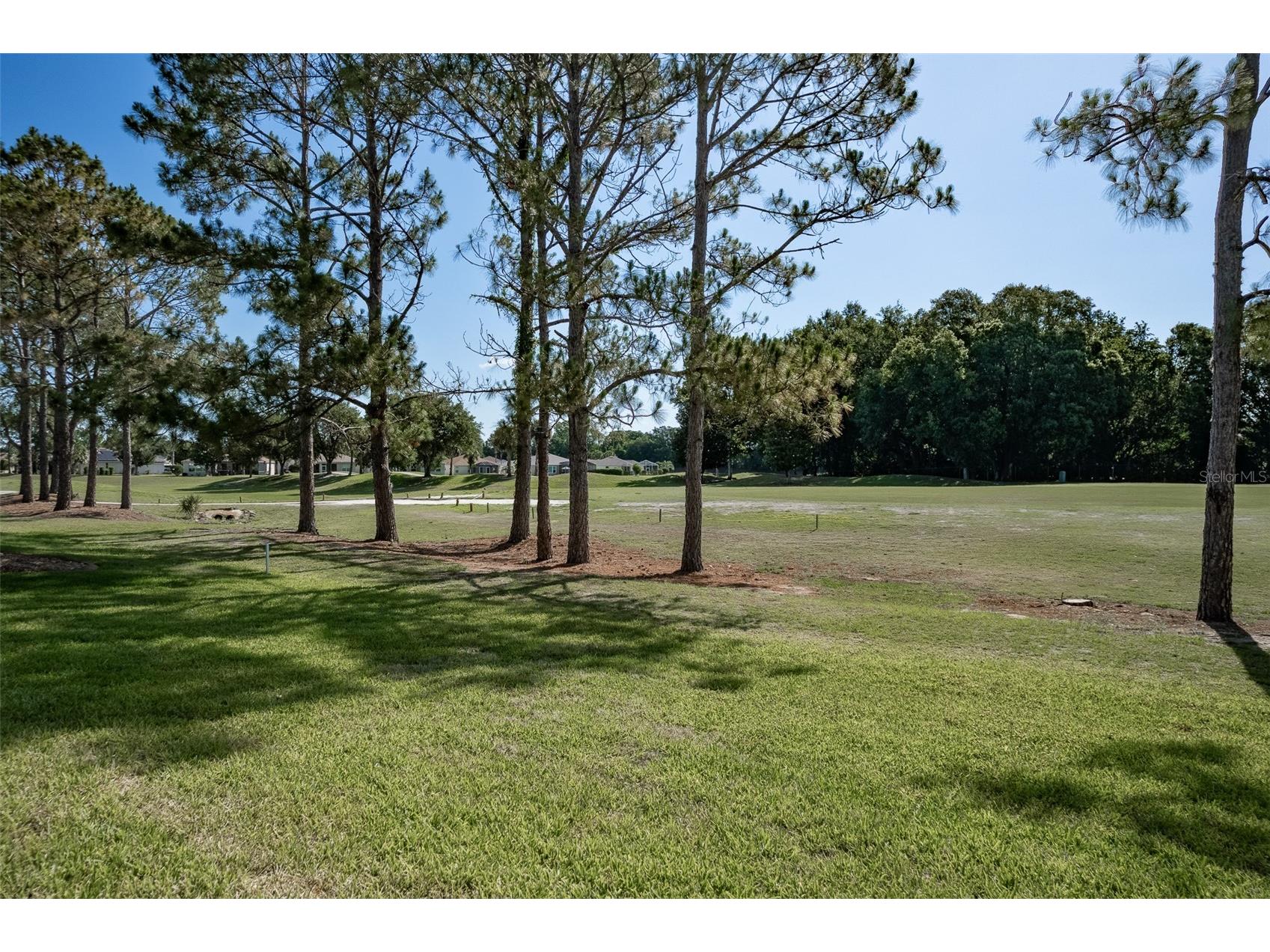 16023 SW 14th Avenue Road Ocala FL 34473 OM724799 image46